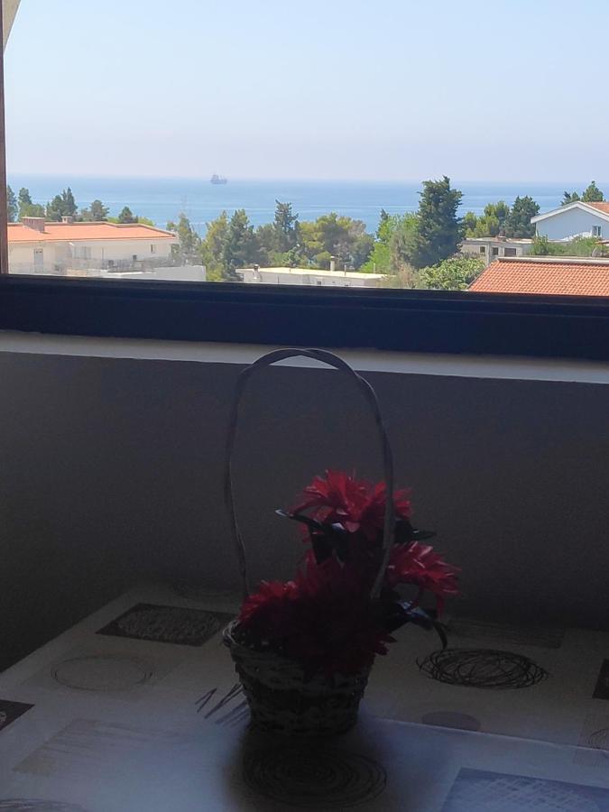 Apartmani Vitic バール エクステリア 写真